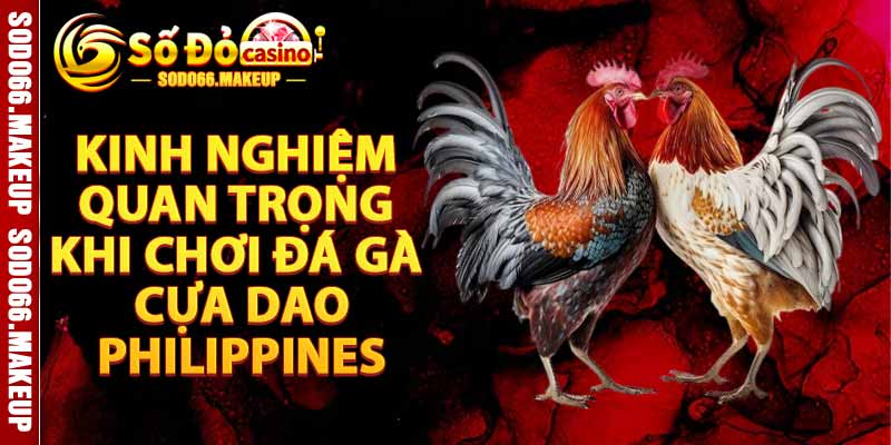 Kinh Nghiệm Quan Trọng Khi Chơi Đá Gà Cựa Dao Philippines
