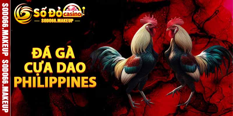 Đá Gà Cựa Dao Philippines